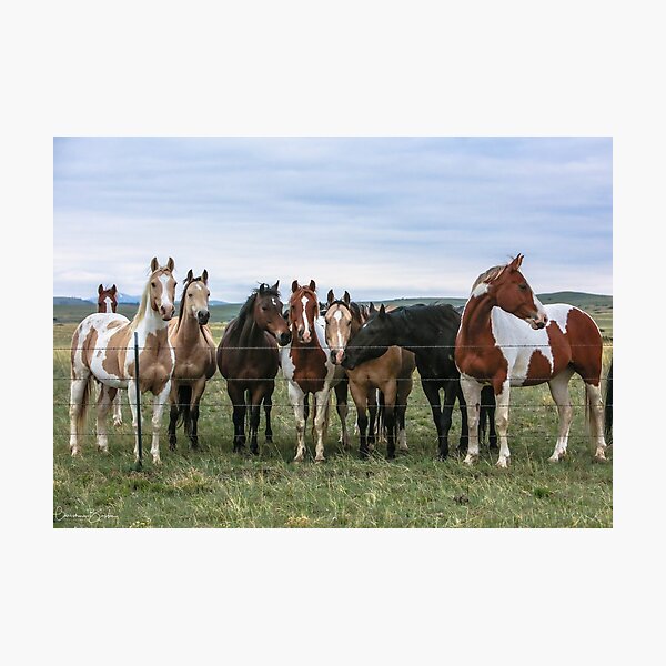 Los Colores Photographic Print