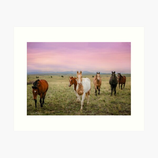 The Colors of Sunrise Art Print