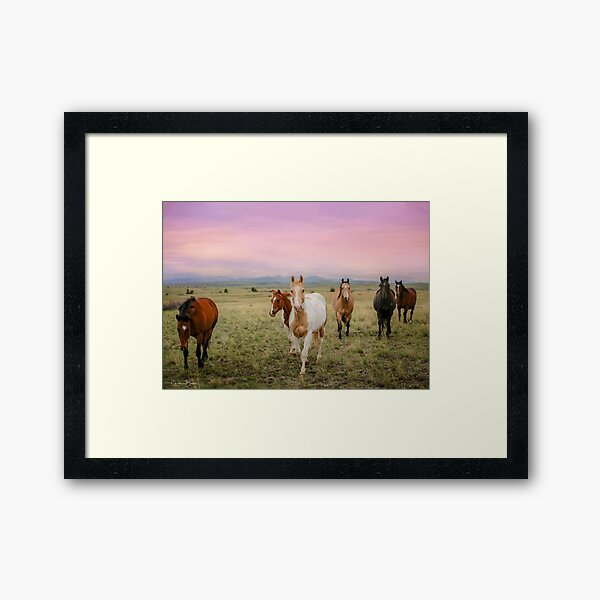 The Colors of Sunrise Framed Art Print
