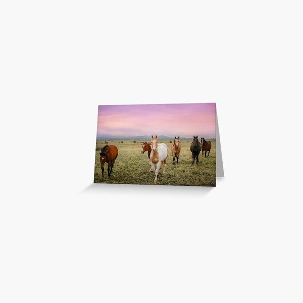 The Colors of Sunrise Greeting Card