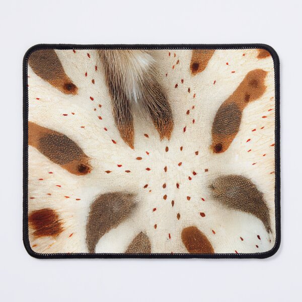 Item preview, Animal Magnetism Reindeer Spots #3 designed and sold by David Apricot.