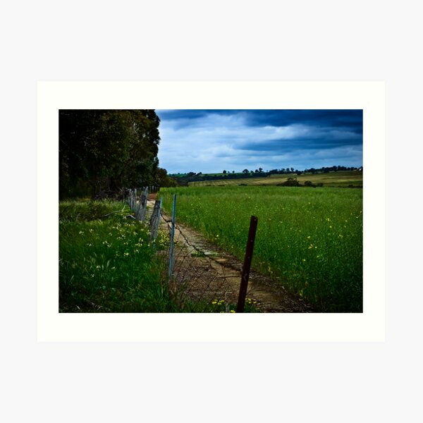 Wheatbelt Art Print