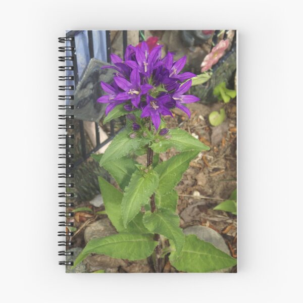 Item preview, The Purple Flower                                           Pentax X-5 16 MP  designed and sold by TKUsitalo.