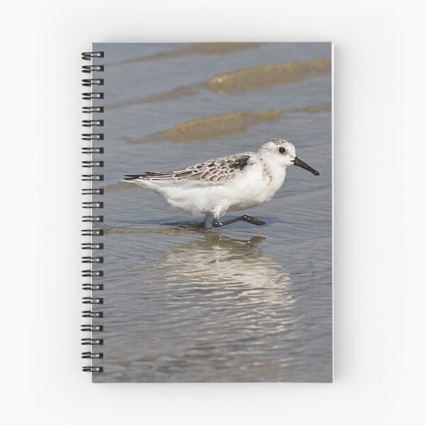 Item preview, Sanderling designed and sold by Linda Crockett.