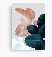 Lienzo Blush Pink Plant Leaves, Botanical Leaf