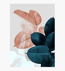Blush Pink Plant Leaves, Botanical Leaf Photographic Print