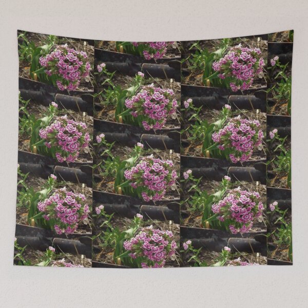 Item preview, Pink Sweet William                                Pentax X-5 Series 16 MP designed and sold by TKUsitalo.