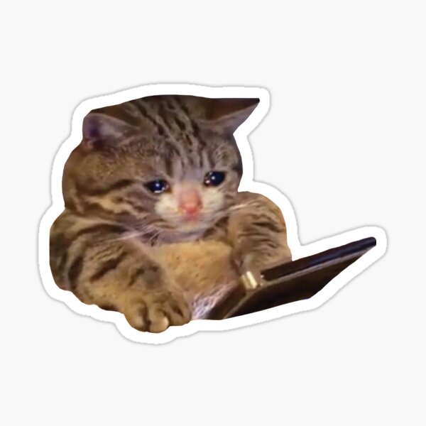 Crying Cat Meme #3 Sticker