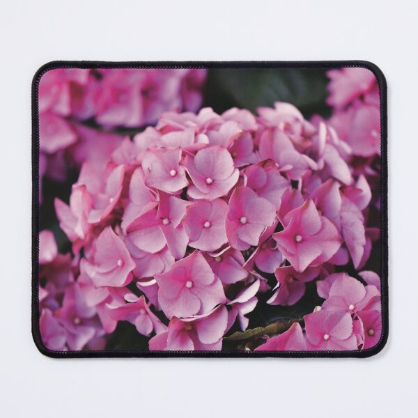 Item preview, Hydrangea designed and sold by Nerone.