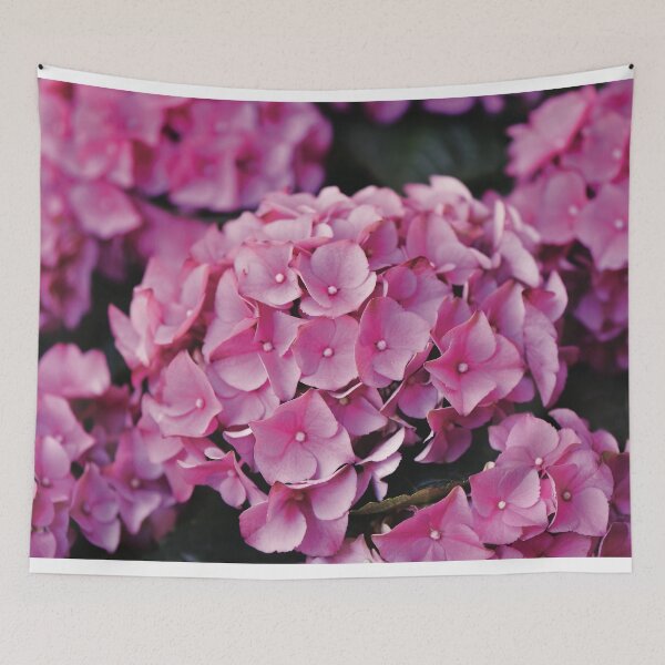 Item preview, Hydrangea designed and sold by Nerone.