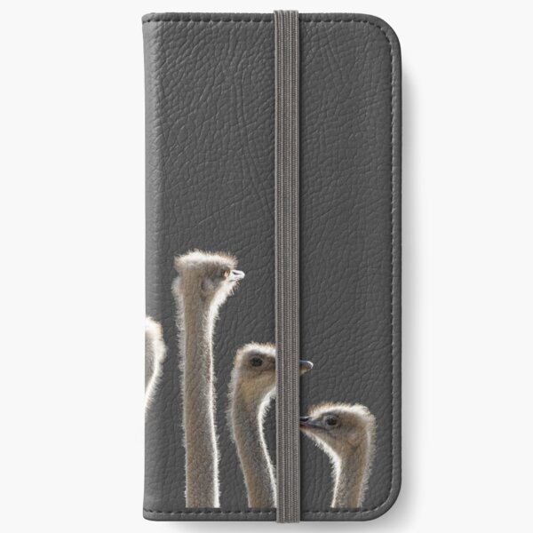 Ostrich heads and necks iPhone Wallet