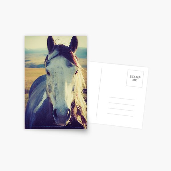 Pretty Lady Postcard