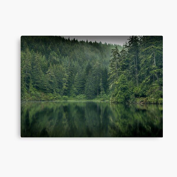 Hidden Tranquility Canvas Print