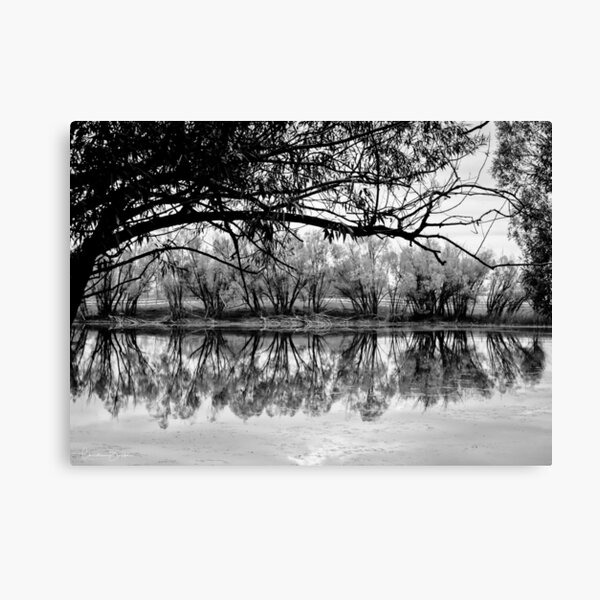 Pallid Reflection Canvas Print