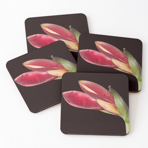 Item preview, Amaryllis Flower Blossoms Design designed and sold by Sternchen2789.