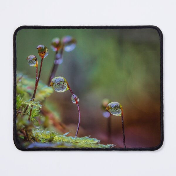 Item preview, Macro world designed and sold by Veikko  Suikkanen.