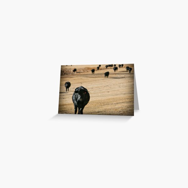 Getting to Where Their Going Greeting Card