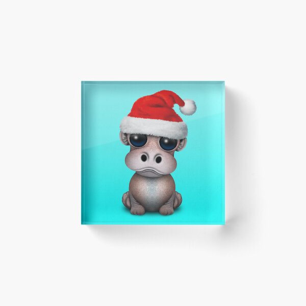 Baby Hippo Wearing a Santa Hat Acrylic Block