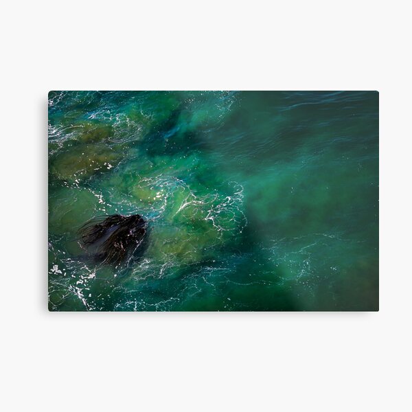 A Photo of Turquoise Waters with Seaweed Metal Print