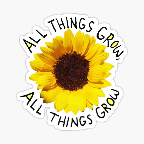 Sufjan Stevens Sticker