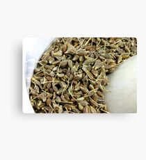Anise Canvas Print