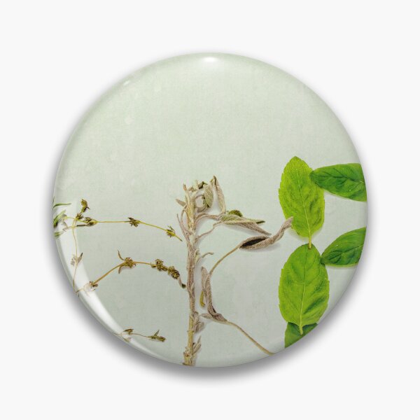 Item preview, Herbs text written in herbs designed and sold by Photopat.