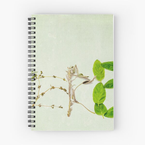Item preview, Herbs text written in herbs designed and sold by Photopat.