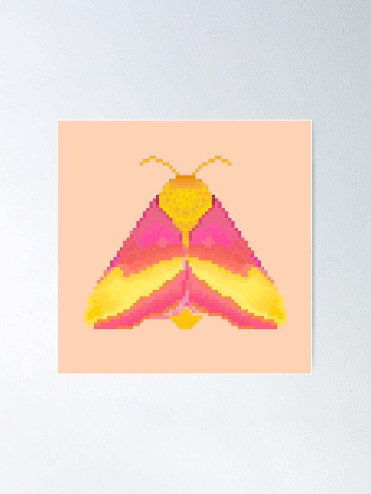 Paper Rosy Maple Moth - Moth & Myth