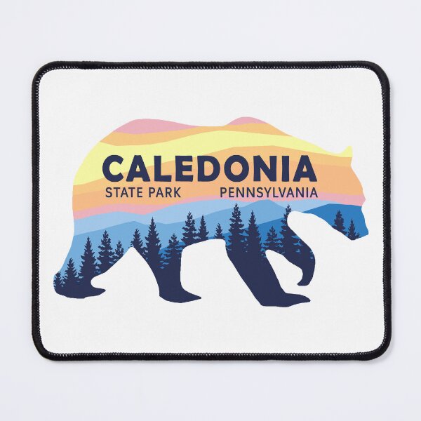 Item preview, Caledonia State Park Sunset Bear Logo designed and sold by VanyaKar.