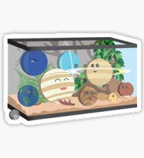 Planetarium Sticker