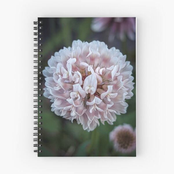 Item preview, Pink Clover designed and sold by LNC-PHOTOGRAPHY.