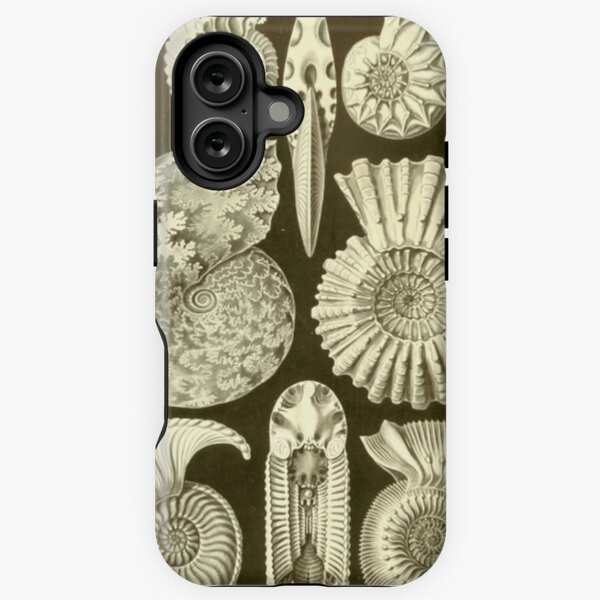 Item preview, Ammonite Fossils designed and sold by BlueSpecsStudio.