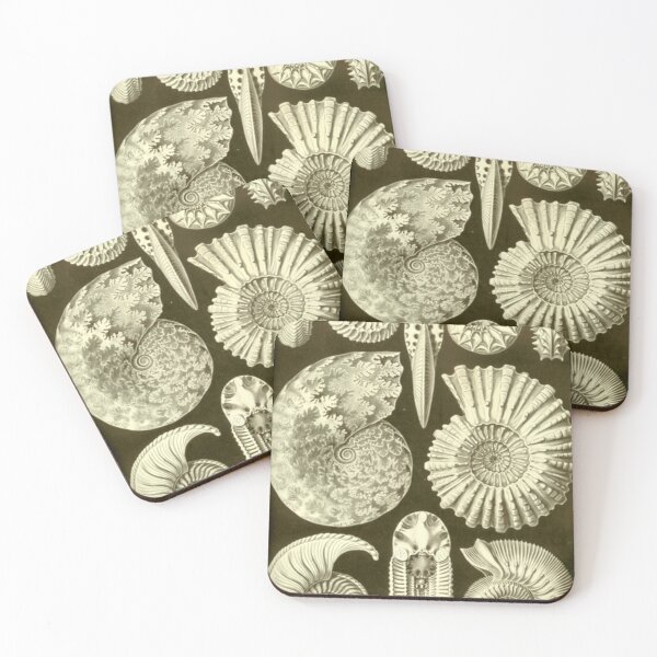 Item preview, Ammonite Fossils designed and sold by BlueSpecsStudio.