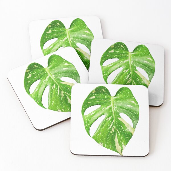 Item preview, Unique and organic photo of a Monstera Thai Constellation 2 designed and sold by AvonPerception.