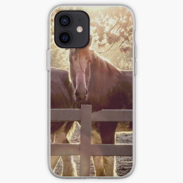 Early Morning Beauty iPhone Soft Case