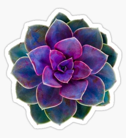 Flowers Stickers | Redbubble