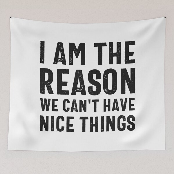Item preview, I'm The Reason We Cant Have Nice Things designed and sold by hijackhippo.