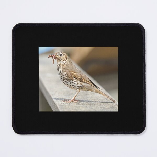 Item preview, Song Thrush + Worms Classic T-Shirt designed and sold by Celestiallove.