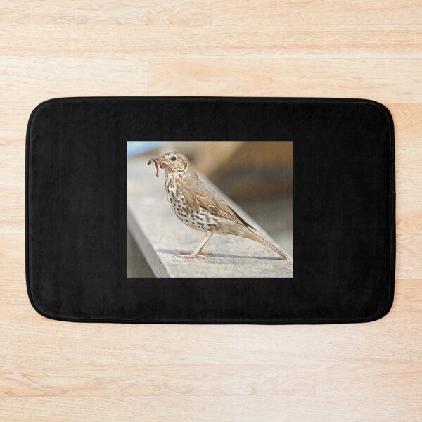Item preview, Song Thrush + Worms Classic T-Shirt designed and sold by Celestiallove.