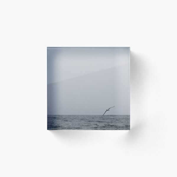 Item preview, Lone Albatross designed and sold by Christina Backus.