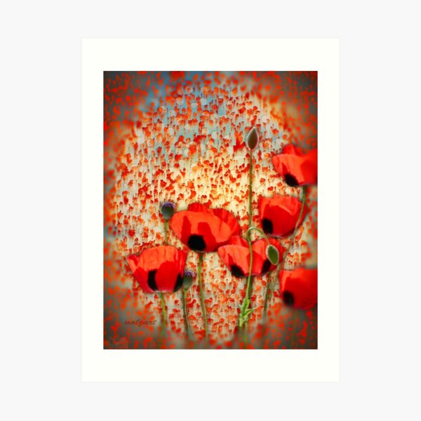 Flanders fields Art Print