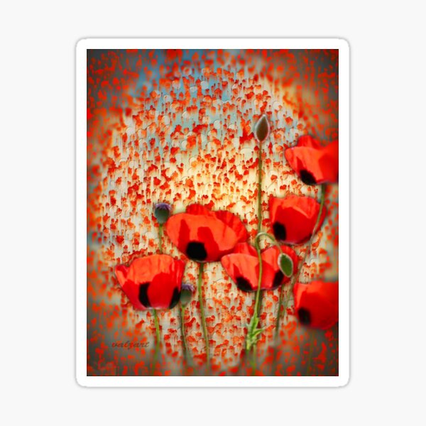 Flanders fields Sticker