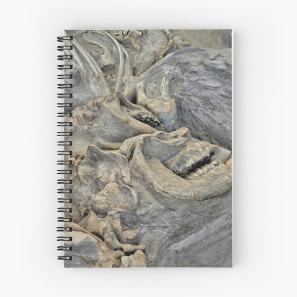 Item preview, Ashfall Fossil Beds designed and sold by LynyrdSky.