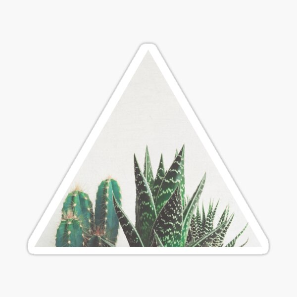 Vista previa del artículo con la obra «Cactus y Suculentas», diseñado y vendido por Cassia Beck.
