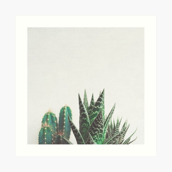 Cactus & Succulents Art Print