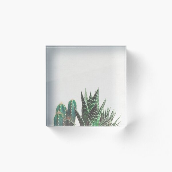 Cactus & Succulents Acrylic Block