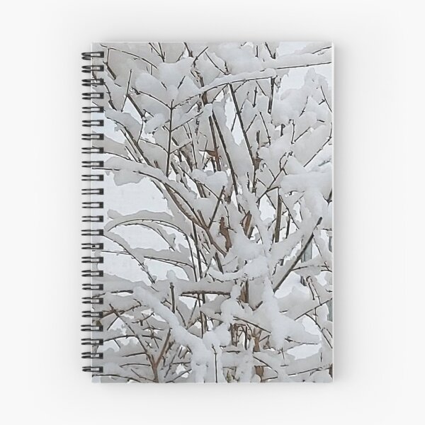 Item preview, Snow covered bush in my yard designed and sold by Diana Evensen.