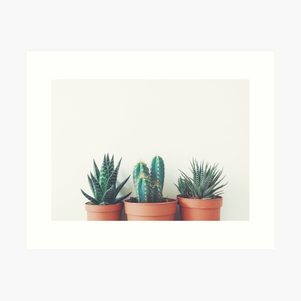 Potted Plants Art Print