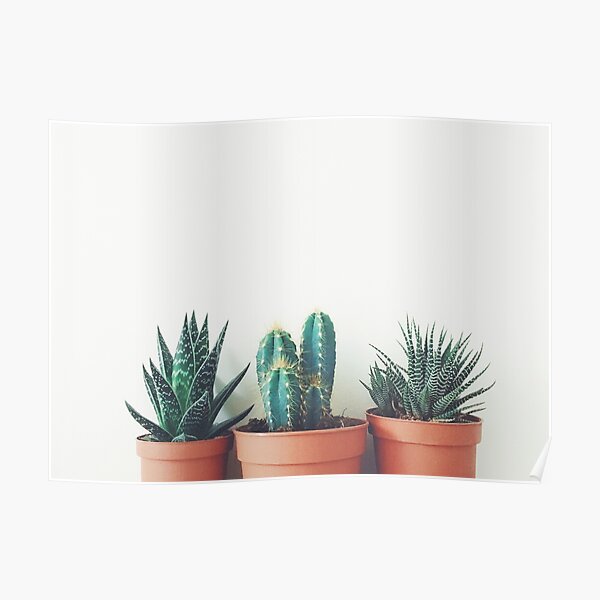 Potted Plants Poster