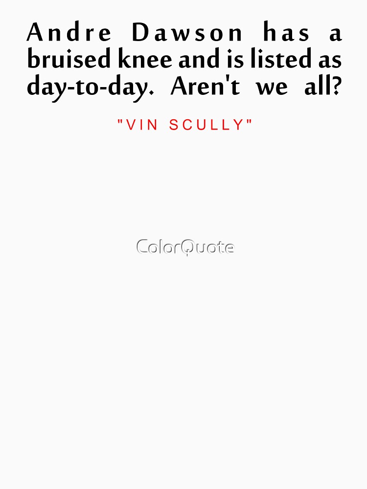 Andre dawson hasVin Scully Inspirational Quote Poster for Sale by  ColorQuote